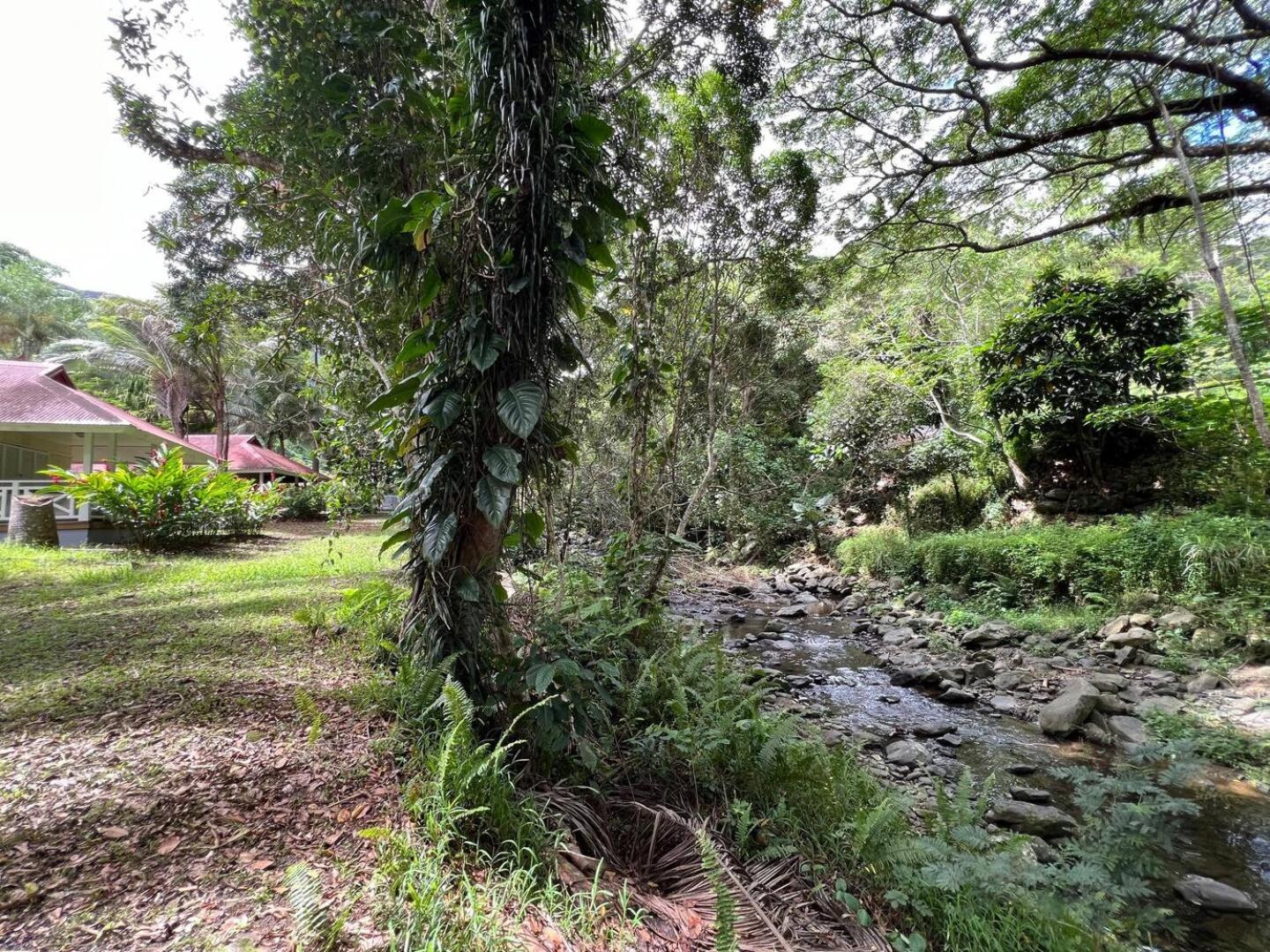 Evasion Bungalow Tropical Spa Sarraméa エクステリア 写真