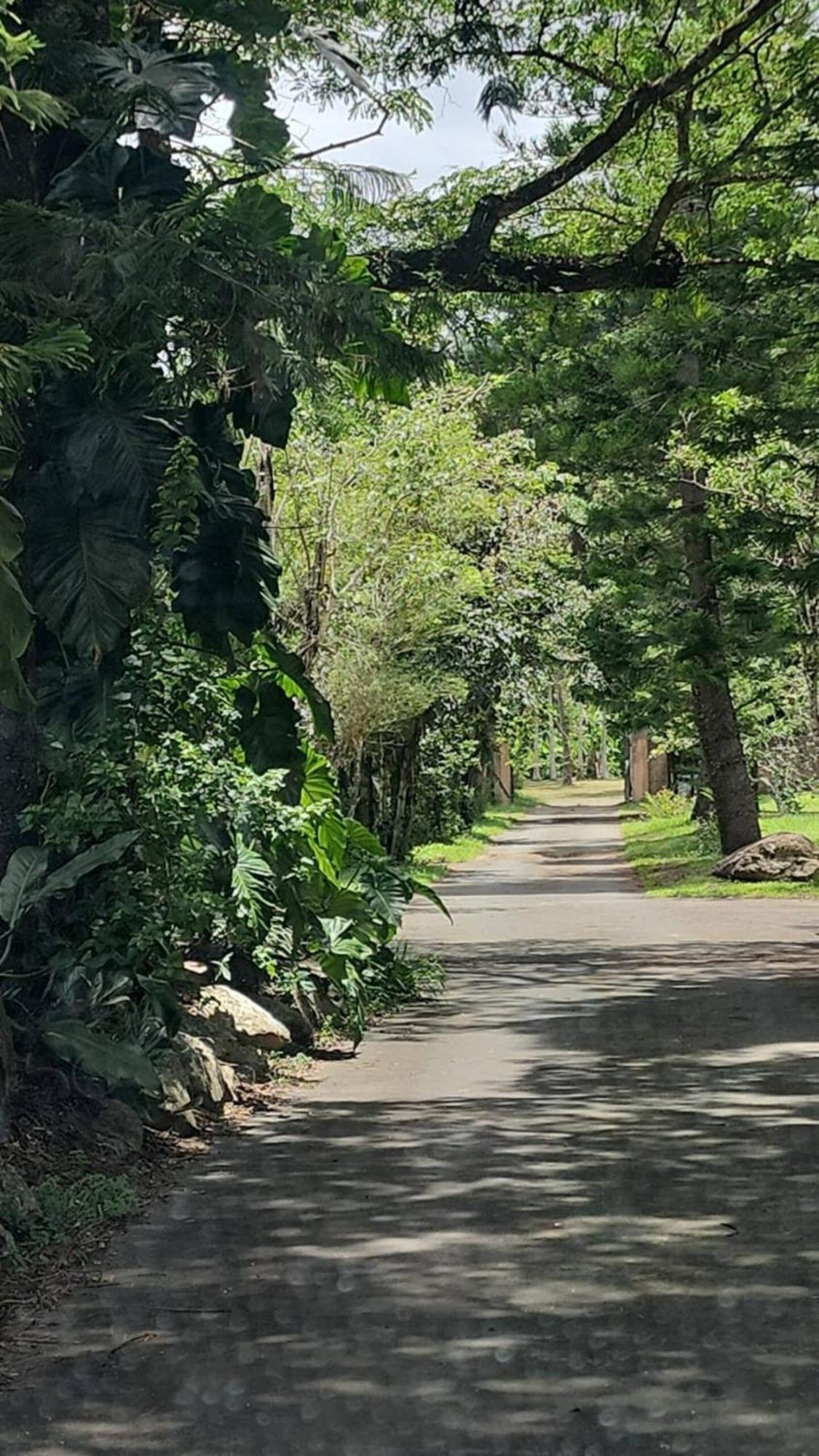 Evasion Bungalow Tropical Spa Sarraméa エクステリア 写真